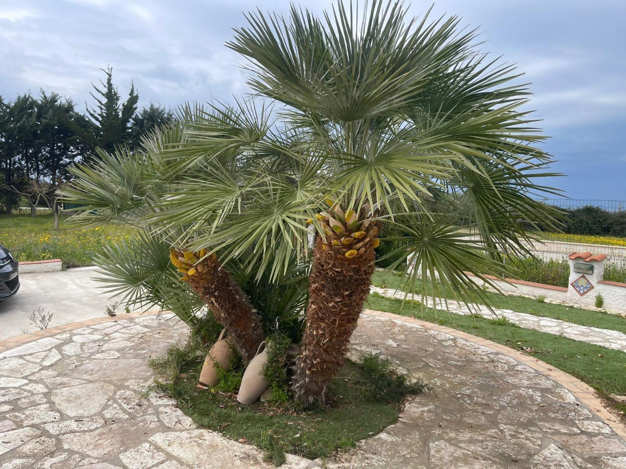 Fiori Di Campo Villa Sciacca Exteriör bild