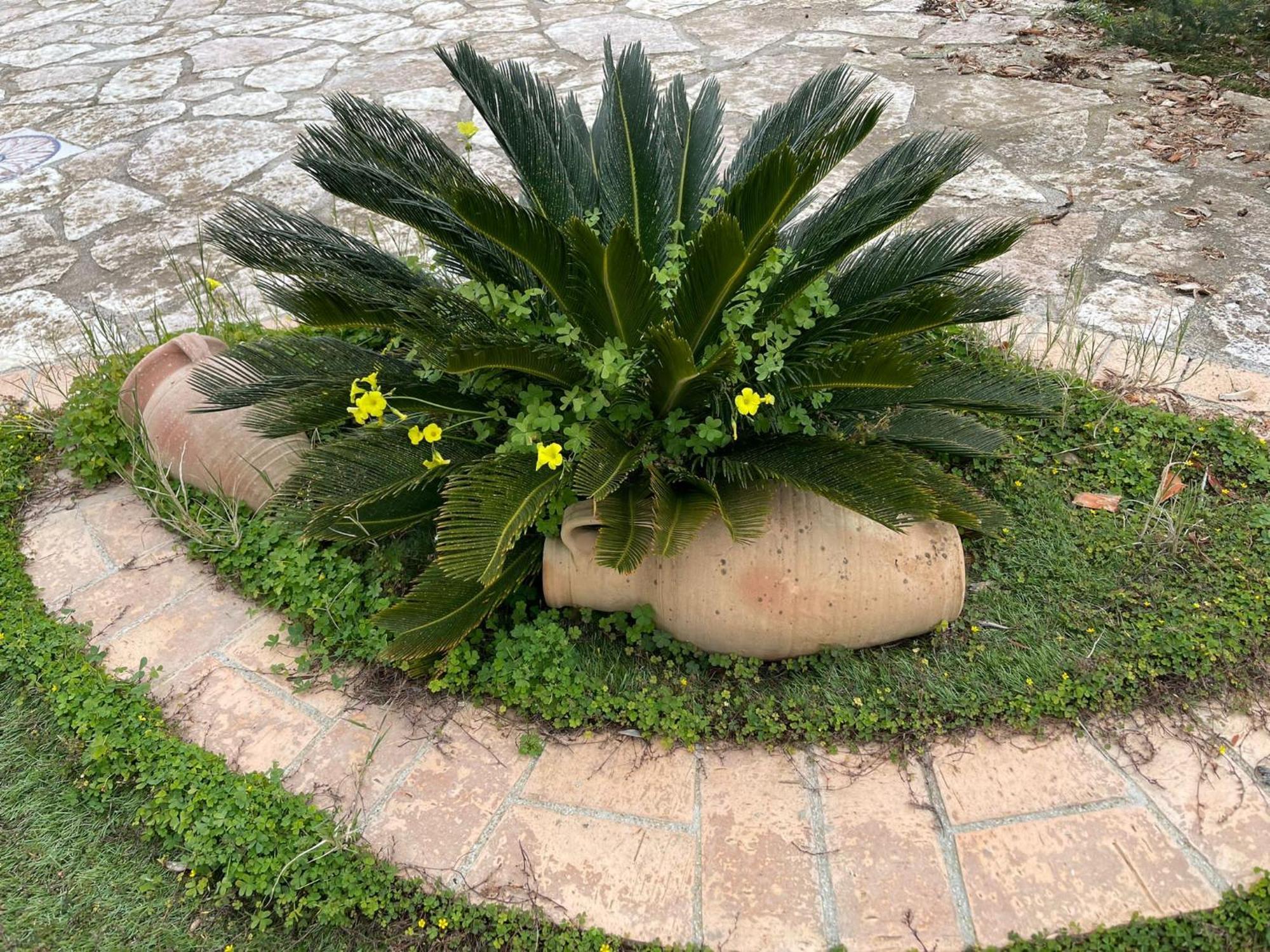 Fiori Di Campo Villa Sciacca Exteriör bild